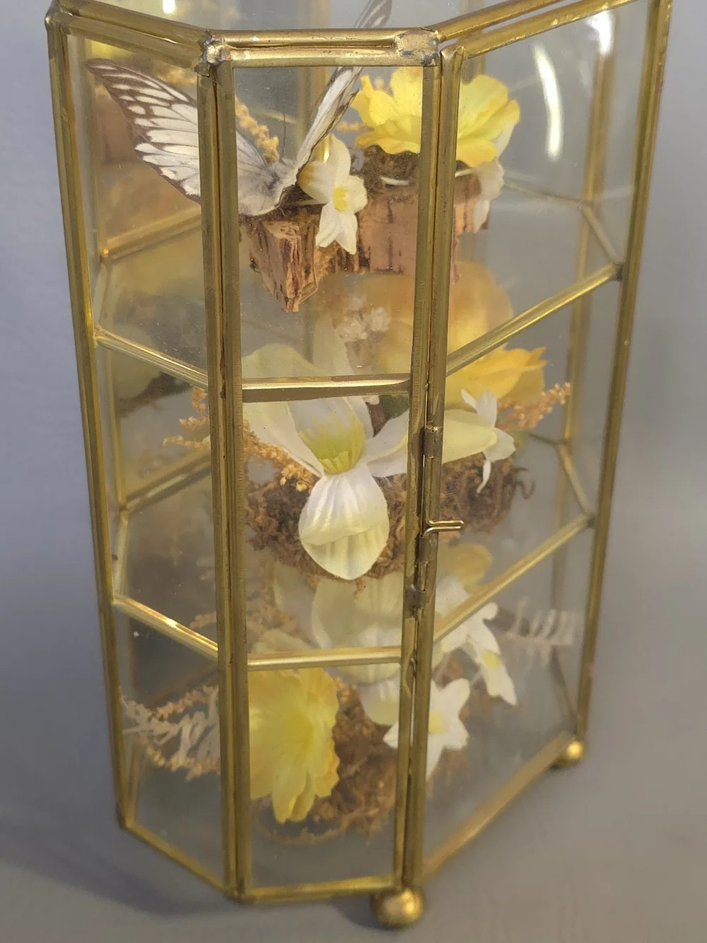 Mid Century Vintage Butterfly Taxidermy Floral In Brass And Glass Curio Cabinet